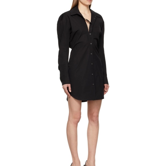 Alexander Wang Detached collar shirt dress - Picture 9 of 11